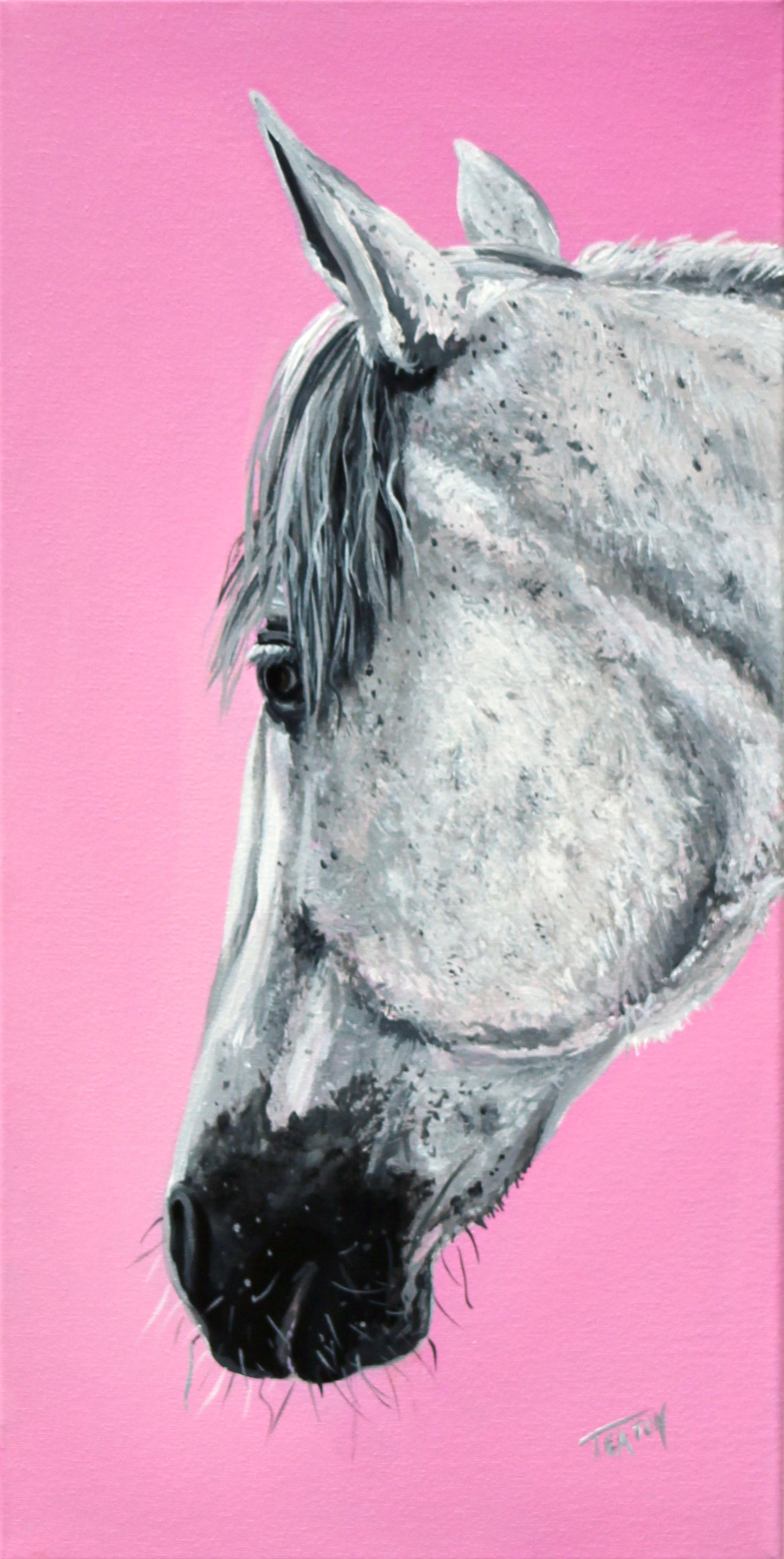 Most little girls dream of having a horse or pony, "Day Dreamer" a modern painted pony. Pink, pretty,  a grey pony with little care and expense, a parents dream